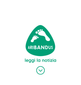 aribandus verona news notizie