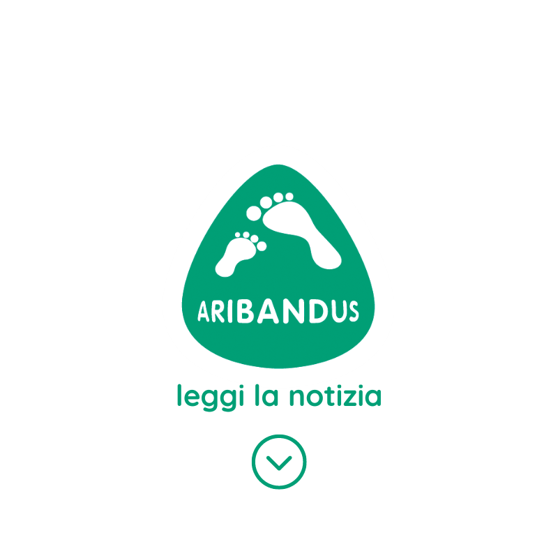 aribandus verona news notizie